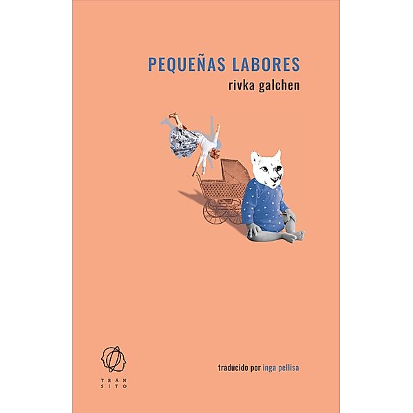 Pequeñas labores, Rivka Galchen