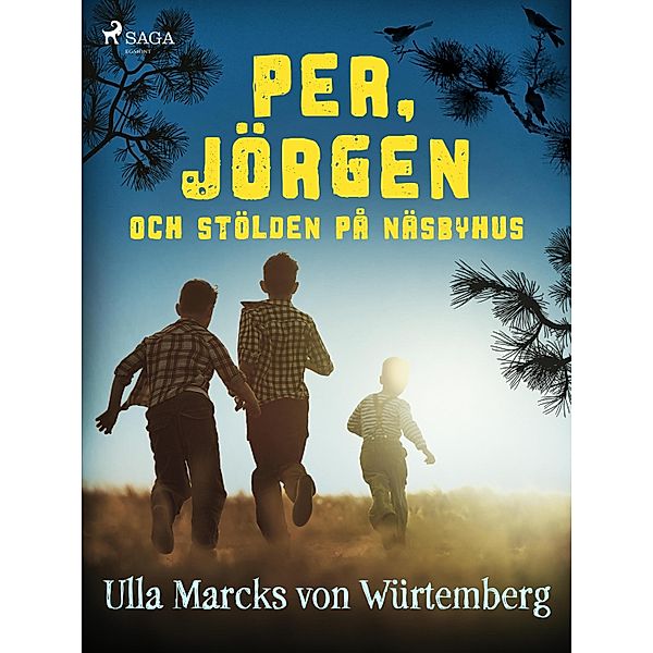 Per, Jörgen och stölden på Näsbyhus / Per & Jörgen Bd.2, Ulla Marcks von Würtemberg