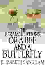 Perambulations of a Bee and a Butterfly / The Floating Press