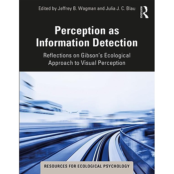 Perception as Information Detection