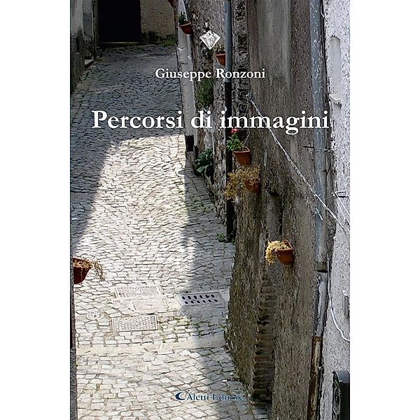 Percorsi di immagini, Giuseppe Ronzoni