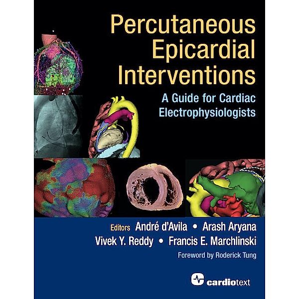 Percutaneous Epicardial Interventions: