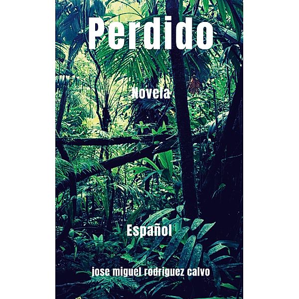 Perdido, Jose Miguel Rodriguez Calvo