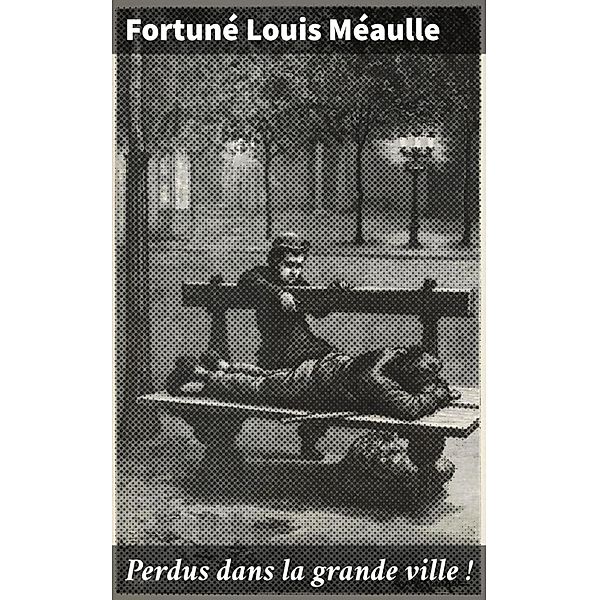 Perdus dans la grande ville !, Fortuné Louis Méaulle