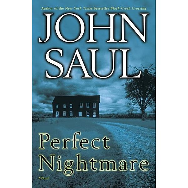 Perfect Nightmare, John Saul