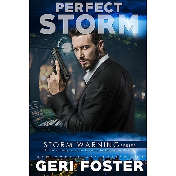 Perfect Storm (Storm Warning, #3), Geri Foster