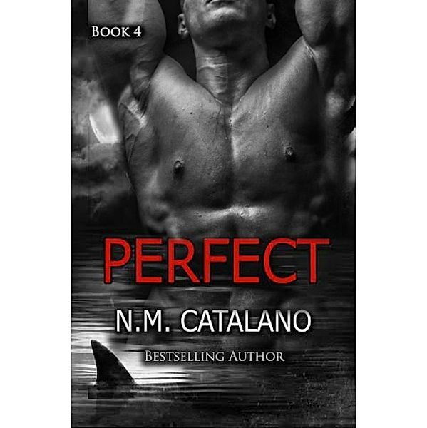 Perfect (Stranger) / Stranger, N. M. Catalano