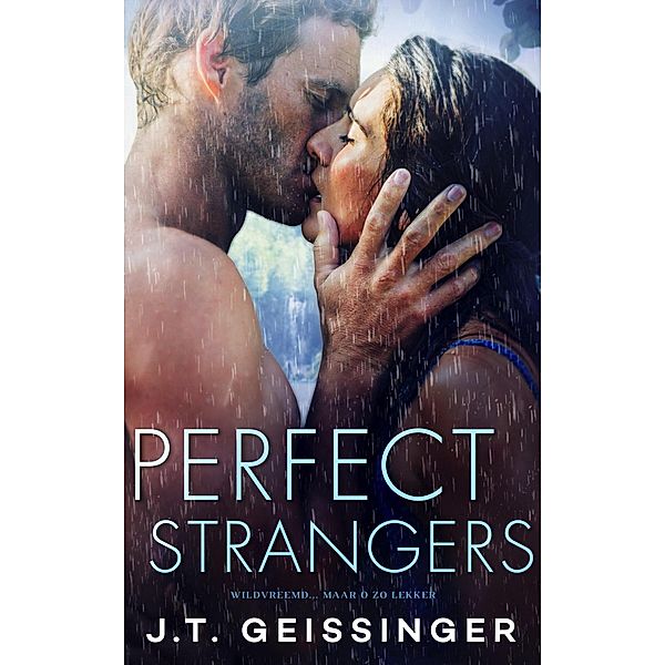 Perfect Strangers, J. T. Geissinger