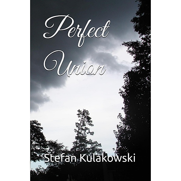 Perfect Union, Stefan Kulakowski
