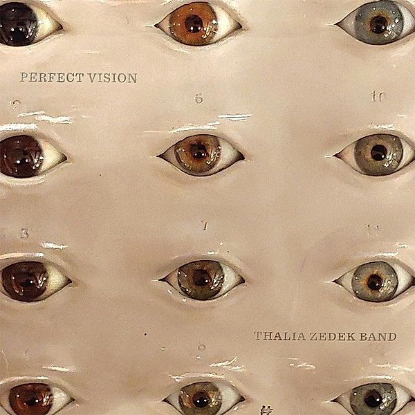 Perfect Vision (Vinyl), Thalia Zedek Band