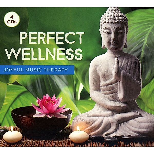 Perfect Wellness-Joyful Music Therapy, Diverse Interpreten