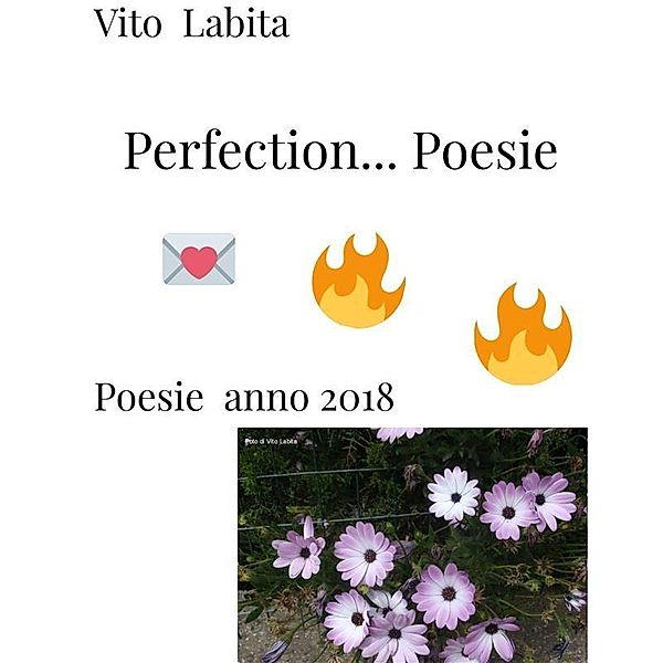 Perfection .... Poesie, Labita Vito
