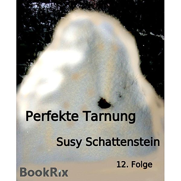 Perfekte Tarnung, Susy Schattenstein