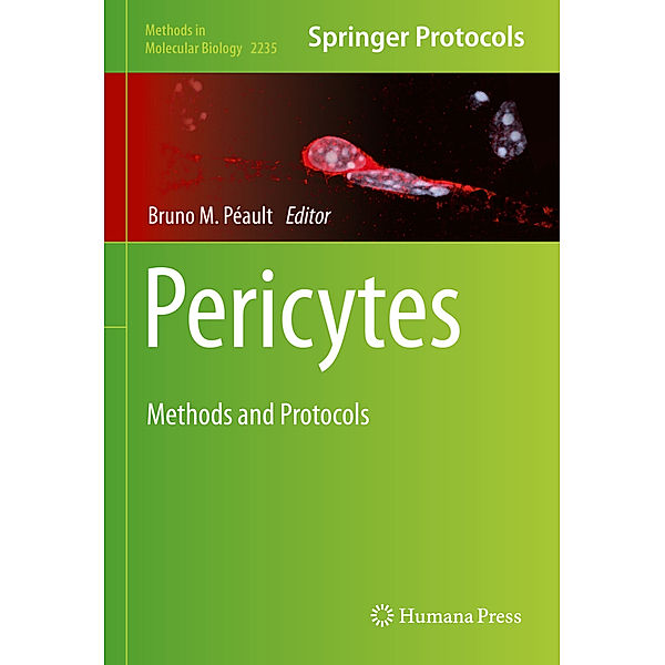 Pericytes