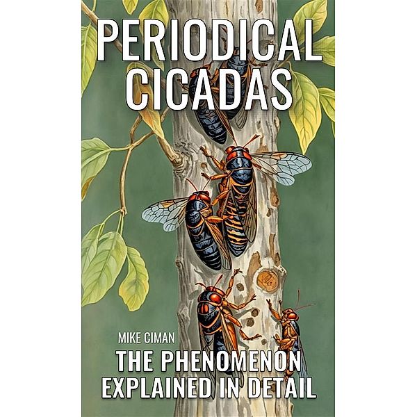 Periodical Cicadas - The Phenomenon Explained In Detail, Mike Ciman