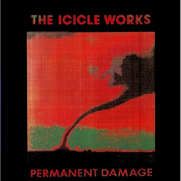 Permanent Damage, The Icicle Works