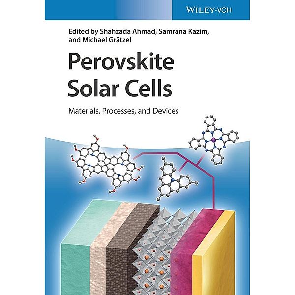 Perovskite Solar Cells