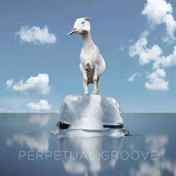 Perpetual Groove (Vinyl), Perpetual Groove