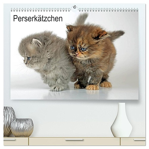 Perserkätzchen / CH-Version (hochwertiger Premium Wandkalender 2024 DIN A2 quer), Kunstdruck in Hochglanz, Klaus Eppele