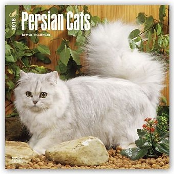 Persian Cats 2018, BrownTrout Publisher