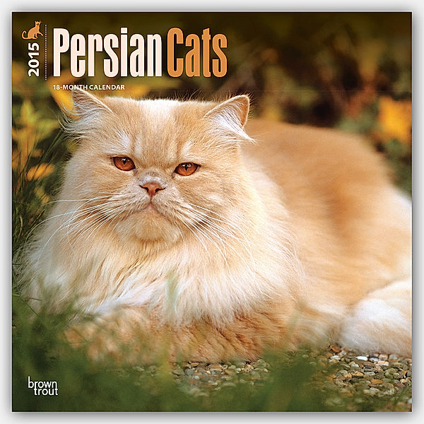 Persian Cats, Broschürenkalender 2015