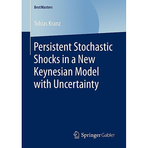 Persistent Stochastic Shocks in a New Keynesian Model with Uncertainty / BestMasters, Tobias Kranz