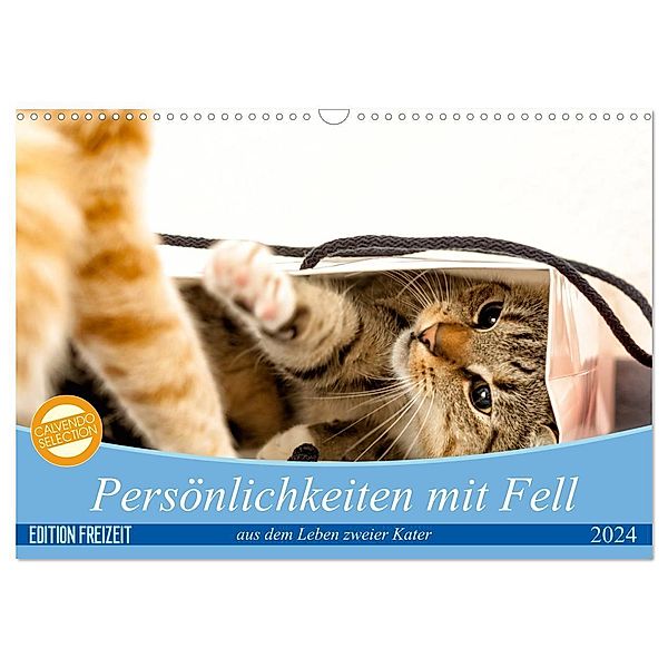 Persönlichkeiten mit Fell - aus dem Leben zweier getigerter Kater (Wandkalender 2024 DIN A3 quer), CALVENDO Monatskalender, Samashy