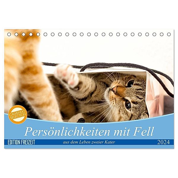 Persönlichkeiten mit Fell - aus dem Leben zweier getigerter Kater (Tischkalender 2024 DIN A5 quer), CALVENDO Monatskalender, Samashy