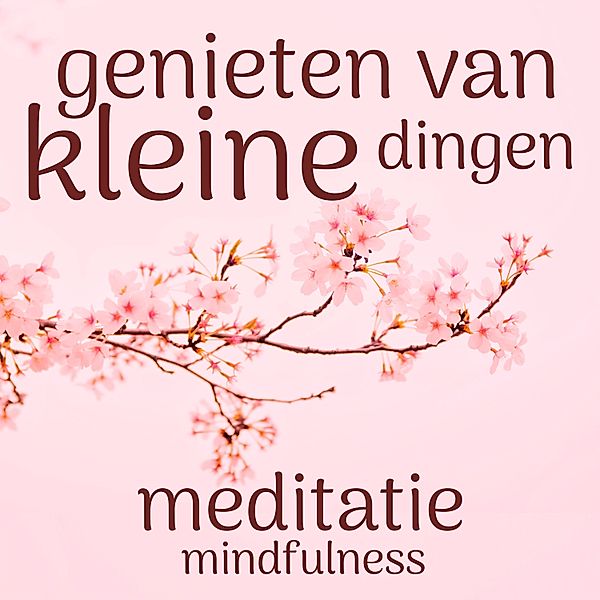 Persoonlijke Ontwikkeling en Gezondheid - 96 - Genieten van de Kleine Dingen: Mindfulness Meditatie, Suzan van der Goes