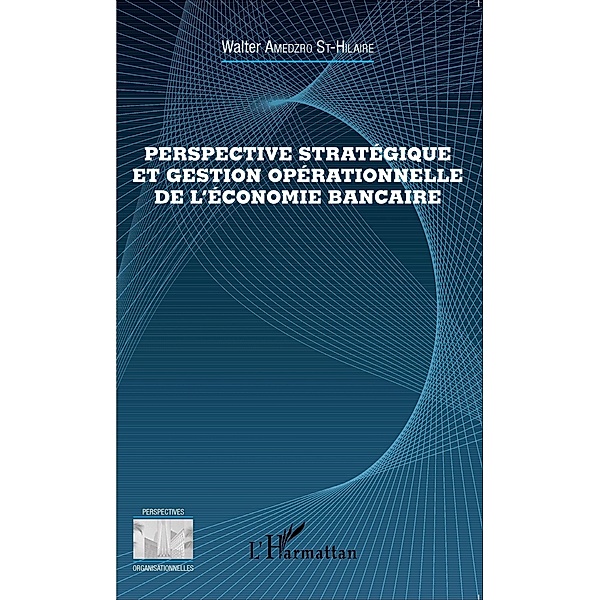 Perspective strategique et gestion operationnelle de l'econo, Walter Amedzro St-Hilaire Walter Amedzro St-Hilaire