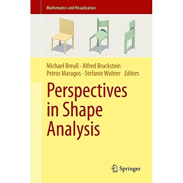 Perspectives in Shape Analysis / Mathematics and Visualization