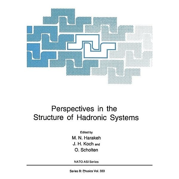 Perspectives in the Structure of Hadronic Systems / NATO Science Series B: Bd.333