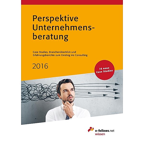 Perspektive Unternehmensberatung 2016