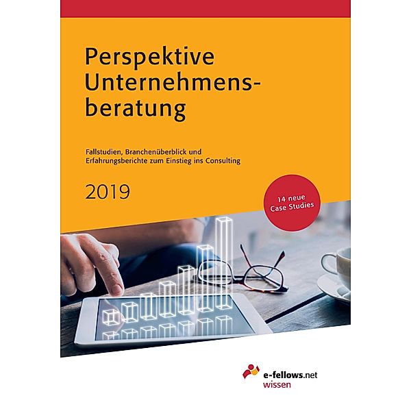 Perspektive Unternehmensberatung 2019 / e-fellows.net wissen