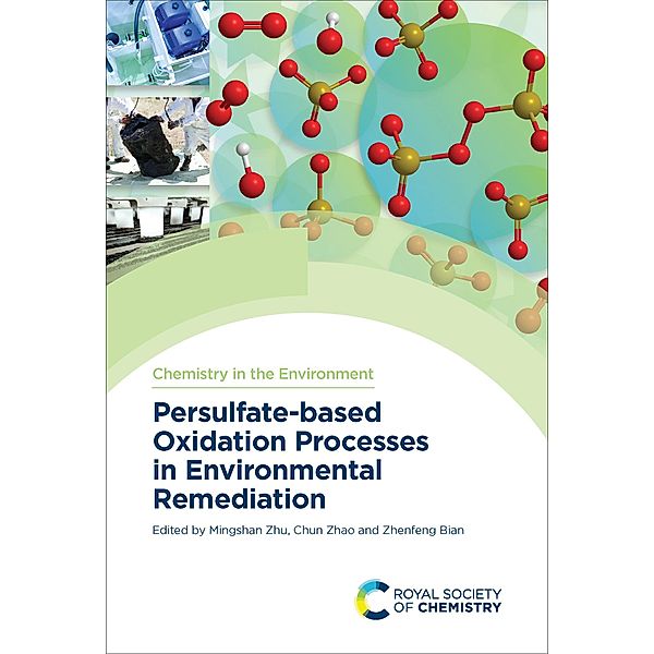 Persulfate-based Oxidation Processes in Environmental Remediation / ISSN