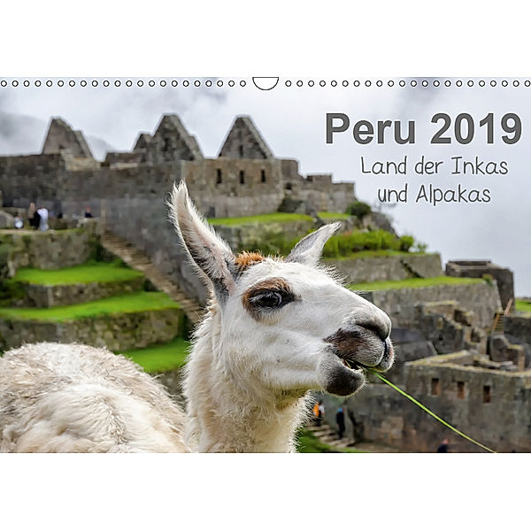 Peru - Land der Inkas und Alpakas (Wandkalender 2019 DIN A3 quer), Oliver Nowak