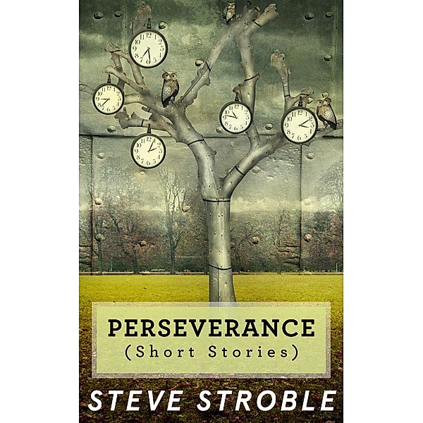 Peseverance (Short Stories), Steve Stroble