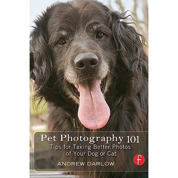Pet Photography 101, Andrew Darlow