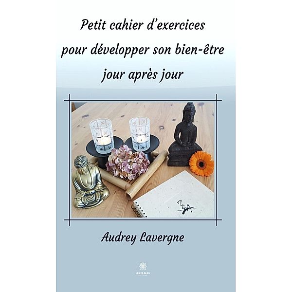 Petit cahier d'exercices pour développer son bien-être jour après jour, Audrey Lavergne