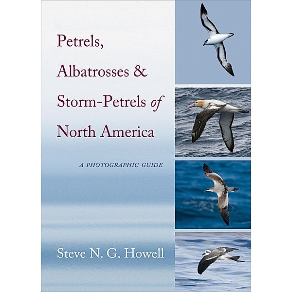 Petrels, Albatrosses, and Storm-Petrels of North America, Steve N. G. Howell