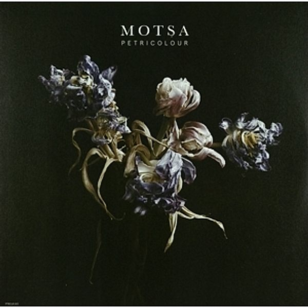 Petricolour (Vinyl), Motsa