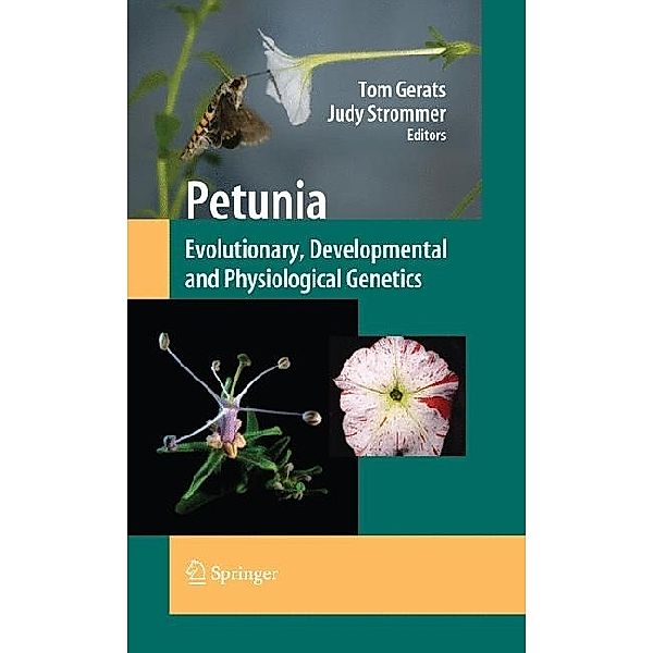 Petunia