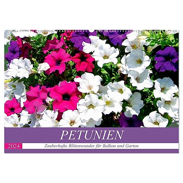 Petunien. Zauberhafte Blütenwunder für Balkon und Garten (Wandkalender 2024 DIN A2 quer), CALVENDO Monatskalender, Rose Hurley