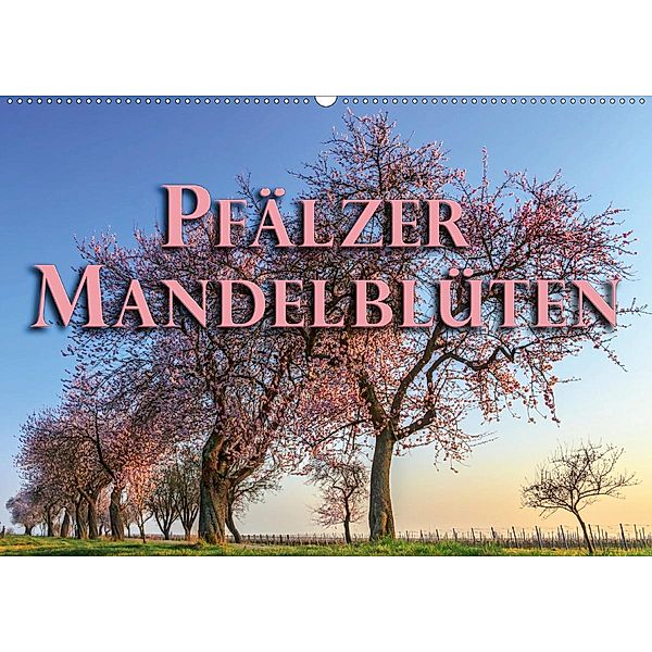 Pfälzer Mandelblüten (Wandkalender 2020 DIN A2 quer), Stefanie Pappon