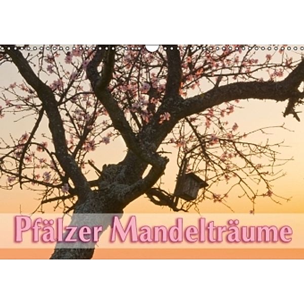Pfälzer Mandelträume (Wandkalender 2016 DIN A3 quer), Lidschlag