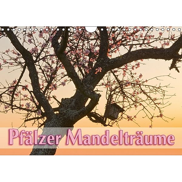 Pfälzer Mandelträume (Wandkalender 2018 DIN A4 quer), Lidschlag