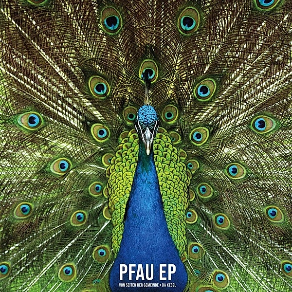 Pfau Ep (Lp) (Vinyl), Von Seiten Der Gemeinde, Da Kessl