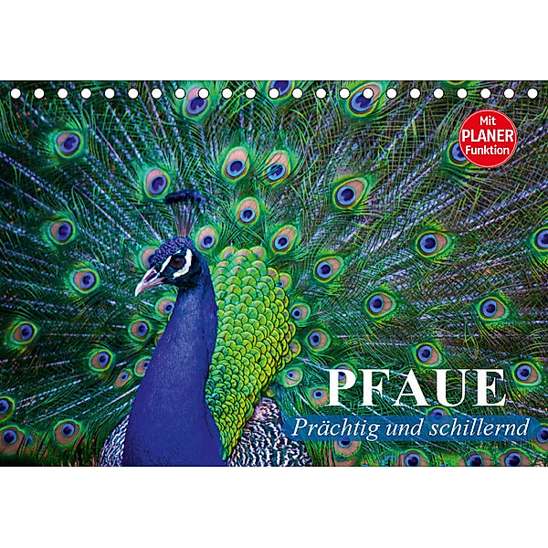 Pfaue. Prächtig und schillernd (Tischkalender 2019 DIN A5 quer), Elisabeth Stanzer