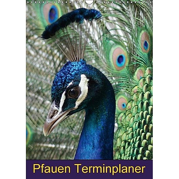 Pfauen Terminplaner (Wandkalender 2017 DIN A3 hoch), Kattobello