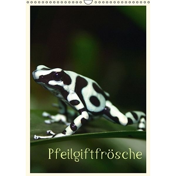 Pfeilgiftfrösche (Wandkalender 2015 DIN A3 hoch), B. Mielewczyk